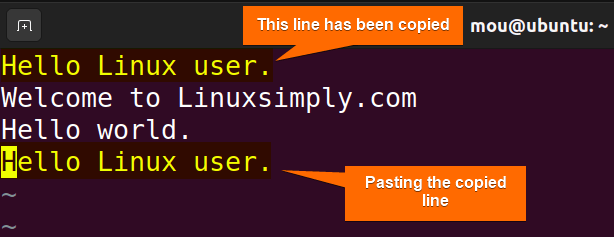 copy and paste using vim