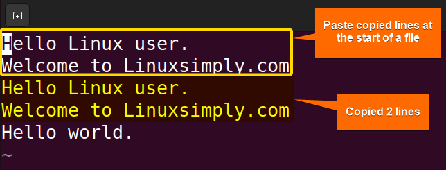 copy and paste multiple lines