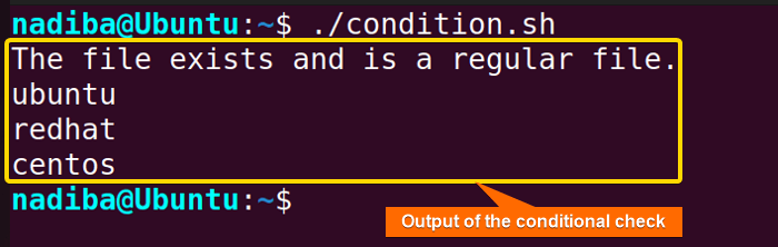 Simple conditional execution using flags